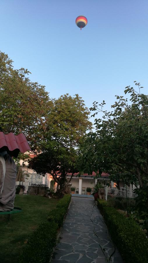 تيكيسكيابان Hotel La Baronesa المظهر الخارجي الصورة