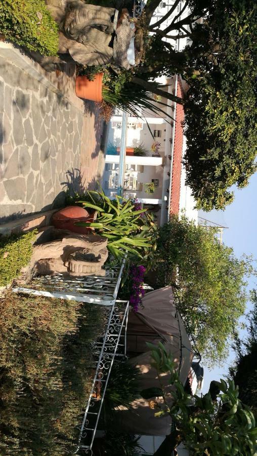 تيكيسكيابان Hotel La Baronesa المظهر الخارجي الصورة